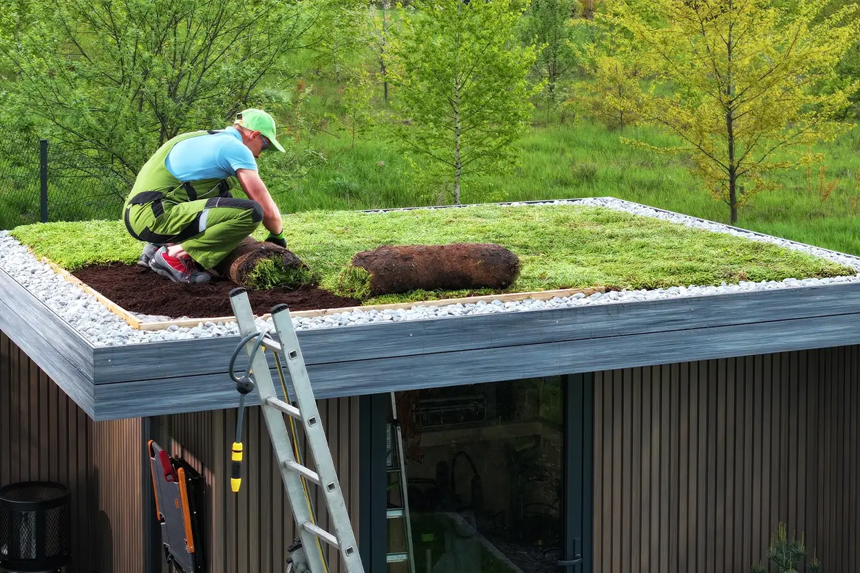 Ein Mann beim Verlegen einer Dachbegrünung auf einem Flachdach