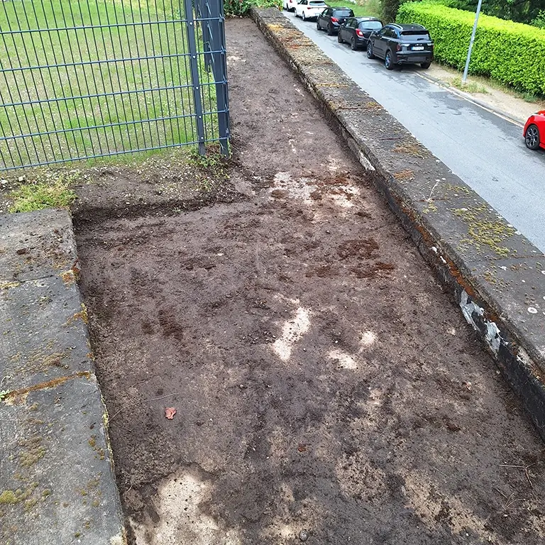 Anlegen einer pflegeleichten Alternative im Garten als Bodendecker - Betongrund
