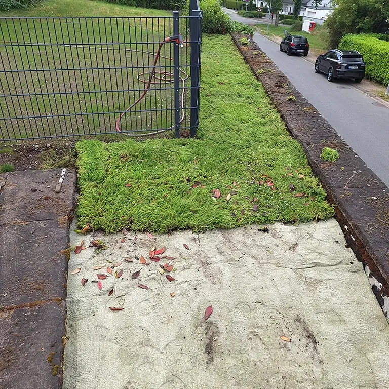 Anlegen einer pflegeleichten Alternative im Garten als Bodendecker - Sedum-Mix-Matte