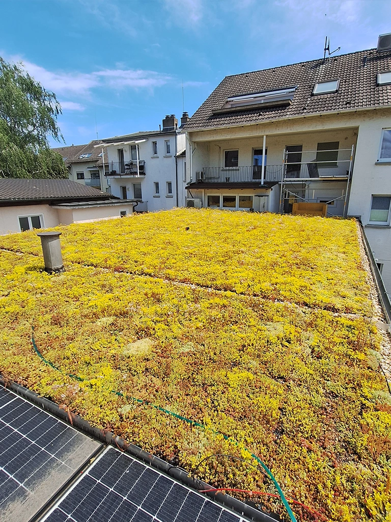 ludwigshafen-garagenanlage-768x1024